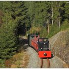 Dieselbrummen an der Stützmauer