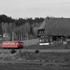 Dieselbrummer im Schwarzwald