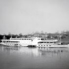 Dieselelektrisches Seitenradschiff "Friedrich Engels" in Pirna 1977