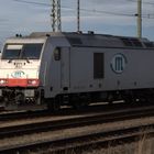 Diesellok 285 109-5 der ITL Eisenbahngesellschaft