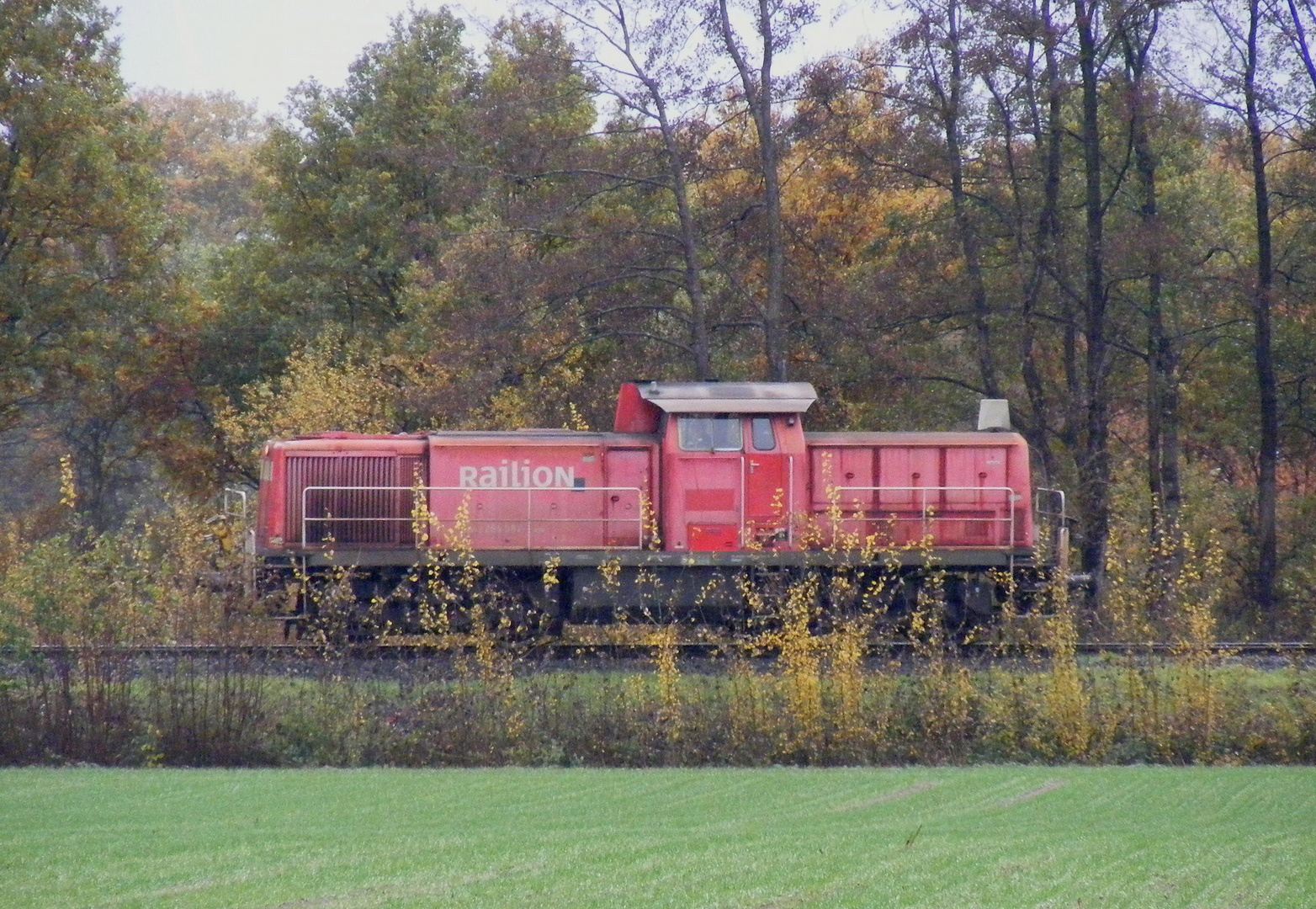 Diesellok auf Nebenstrecke