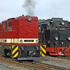 Diesellokomotive BR L45H-358 Cranzahl Sept.2006 