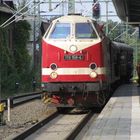 Diesellokomotive mit Sonderzug (Berlin)