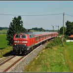 Dieselpower im Unterallgäu