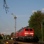 Dieseltraum Kraichgau VIII