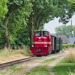 Dieselzug beim Haltepunkt Stahe