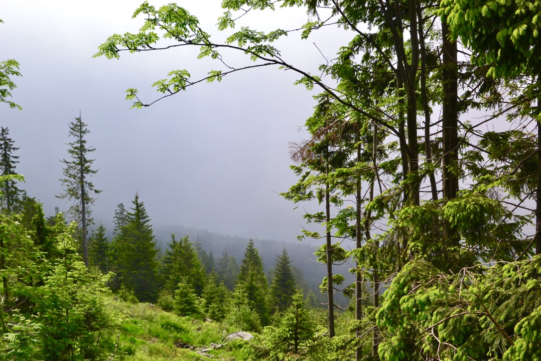 Diesen Ausblick in die trübe Landschaft…