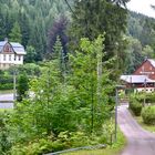 Diesen Blick auf das Hotel "Riedelmühle" in Waldbärenburg…