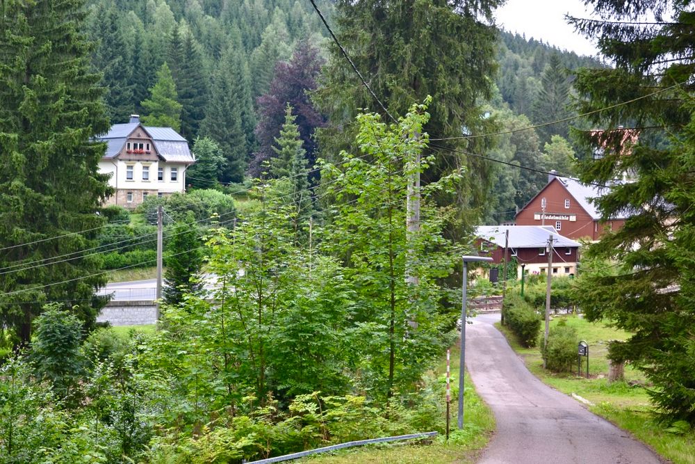 Diesen Blick auf das Hotel "Riedelmühle" in Waldbärenburg…