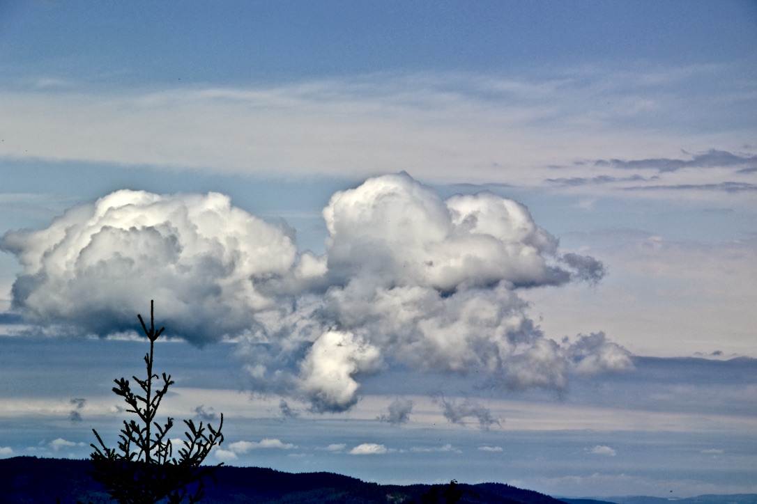 Diesen Blick auf das Wolkenmeer…