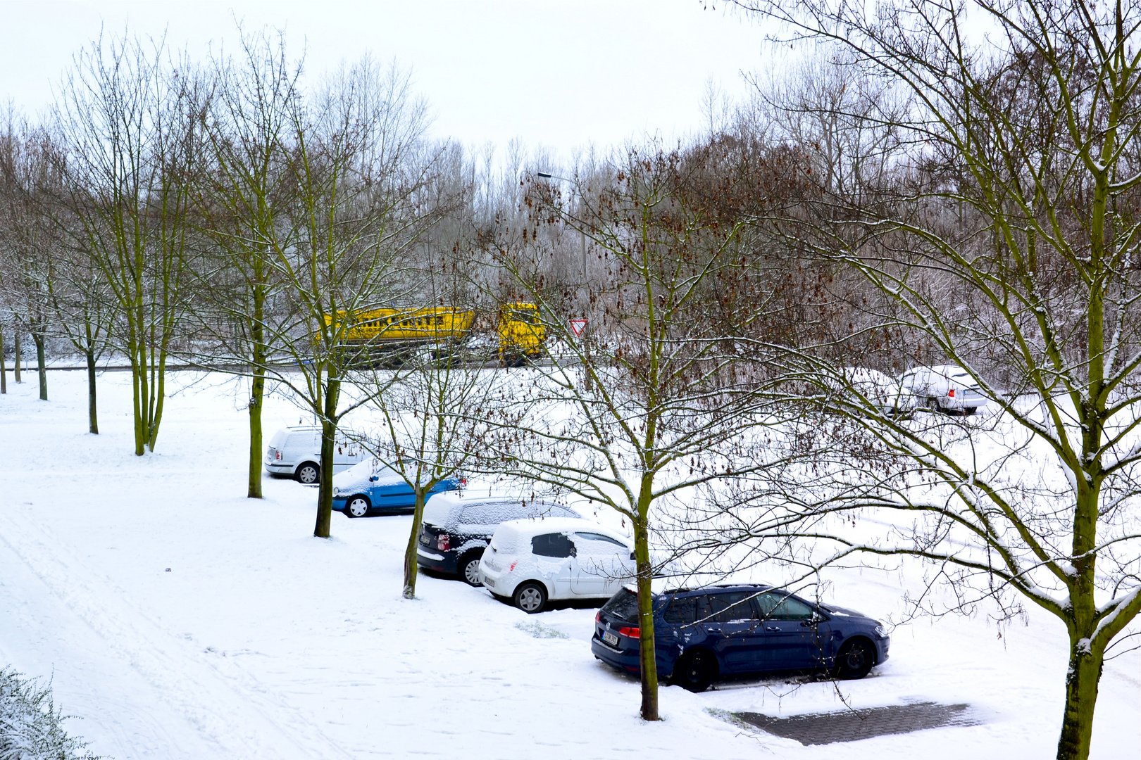 Diesen Blick aus meinem Fenster…