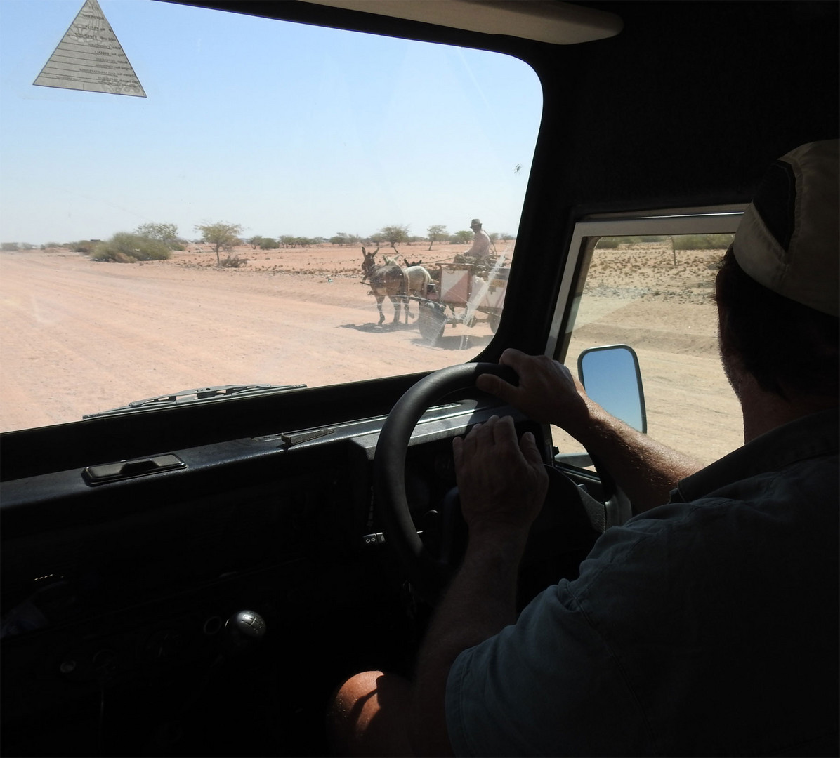 Diesen Blick hatten wir oft in Namibia