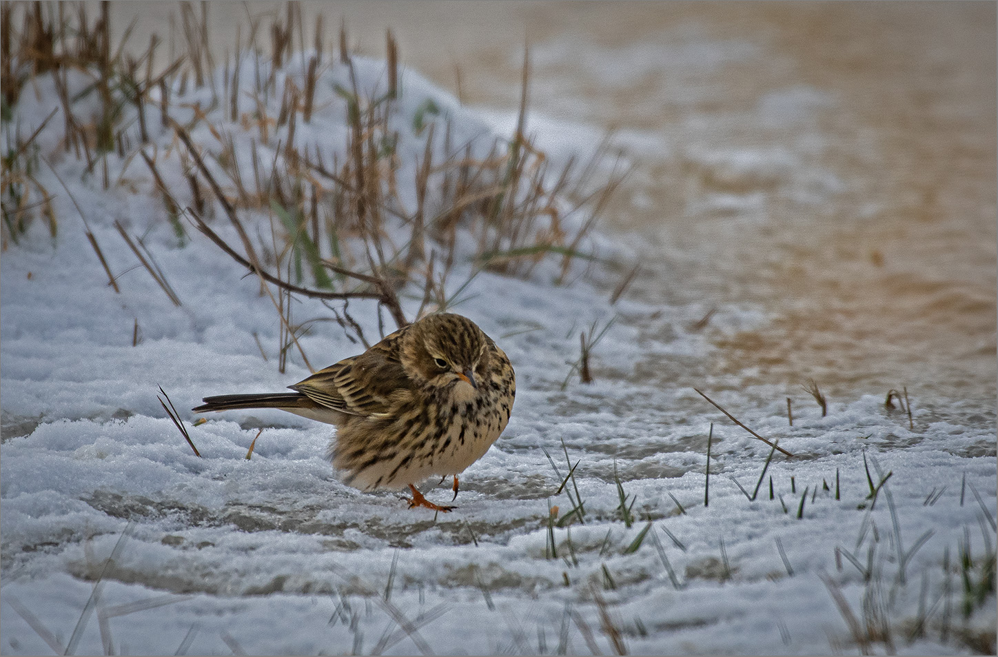 Diesen extremen Wintereinbruch   . . .