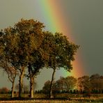 diesen Regenbogen schenke ich.....