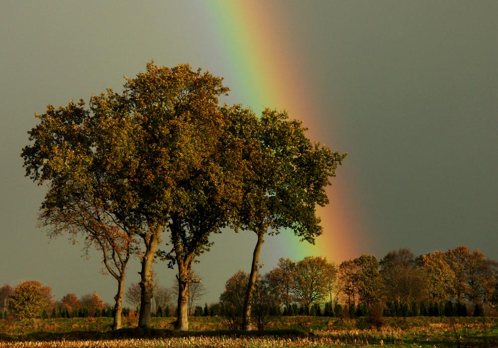 diesen Regenbogen schenke ich.....