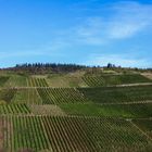 Diesen schönen blauen Himmel.....