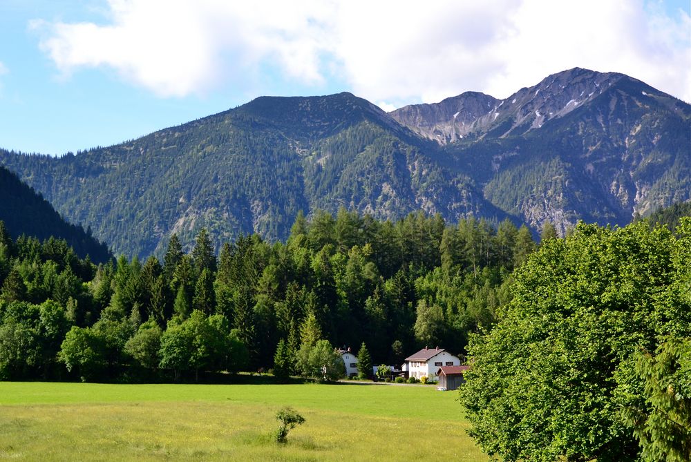 Diesen schönen Blick…