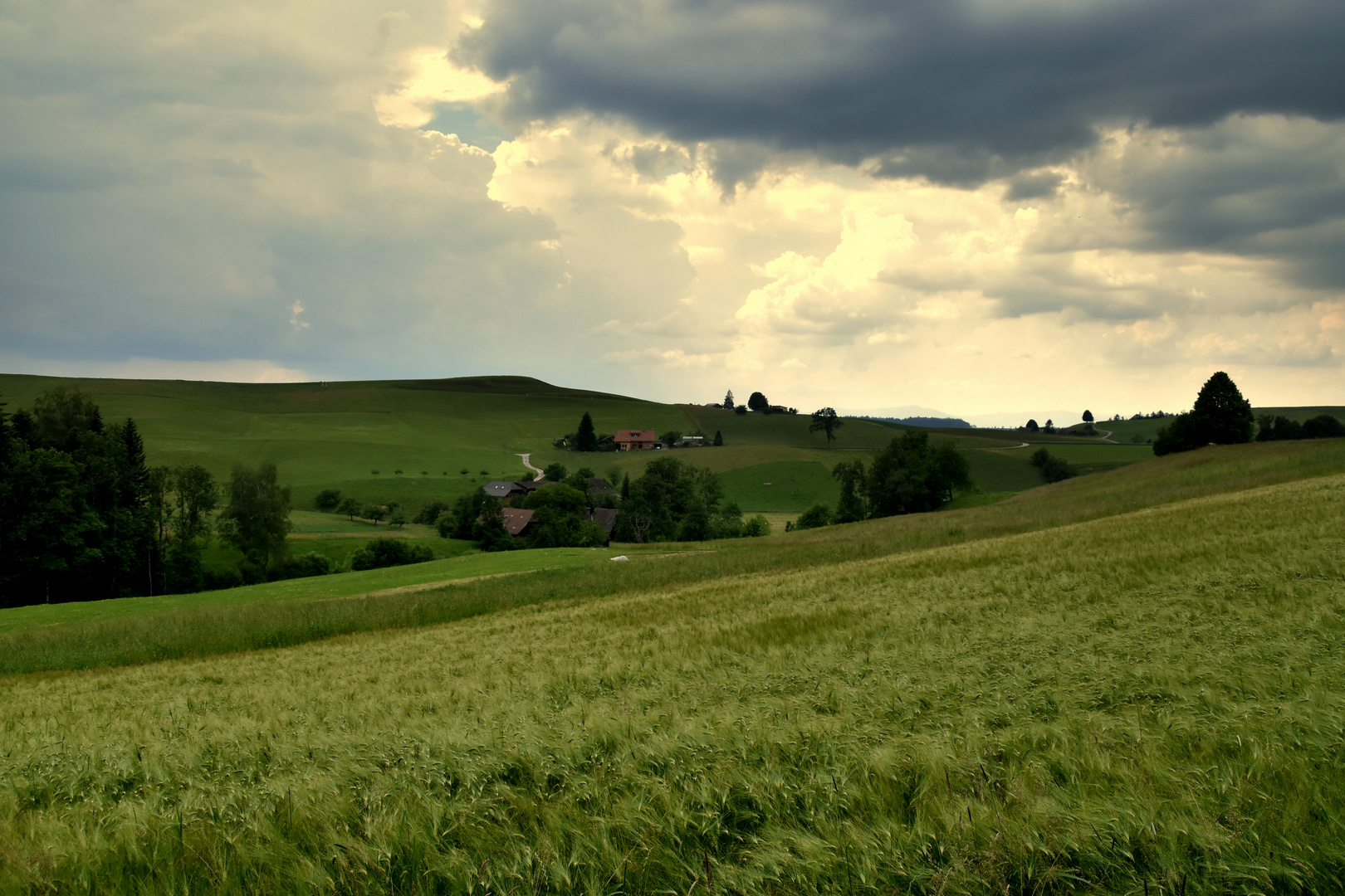 Diesen Sommer Foto & Bild landschaft, jahreszeiten, sommer Bilder auf