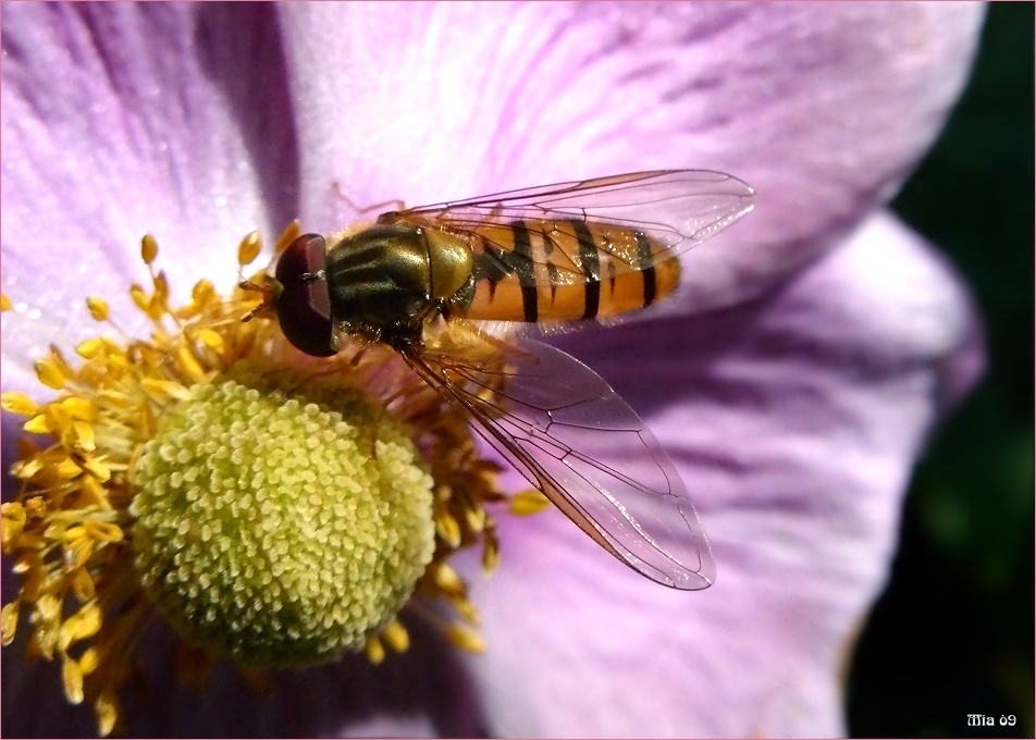 Diesen Sommer alles in (mit) der Schwebe