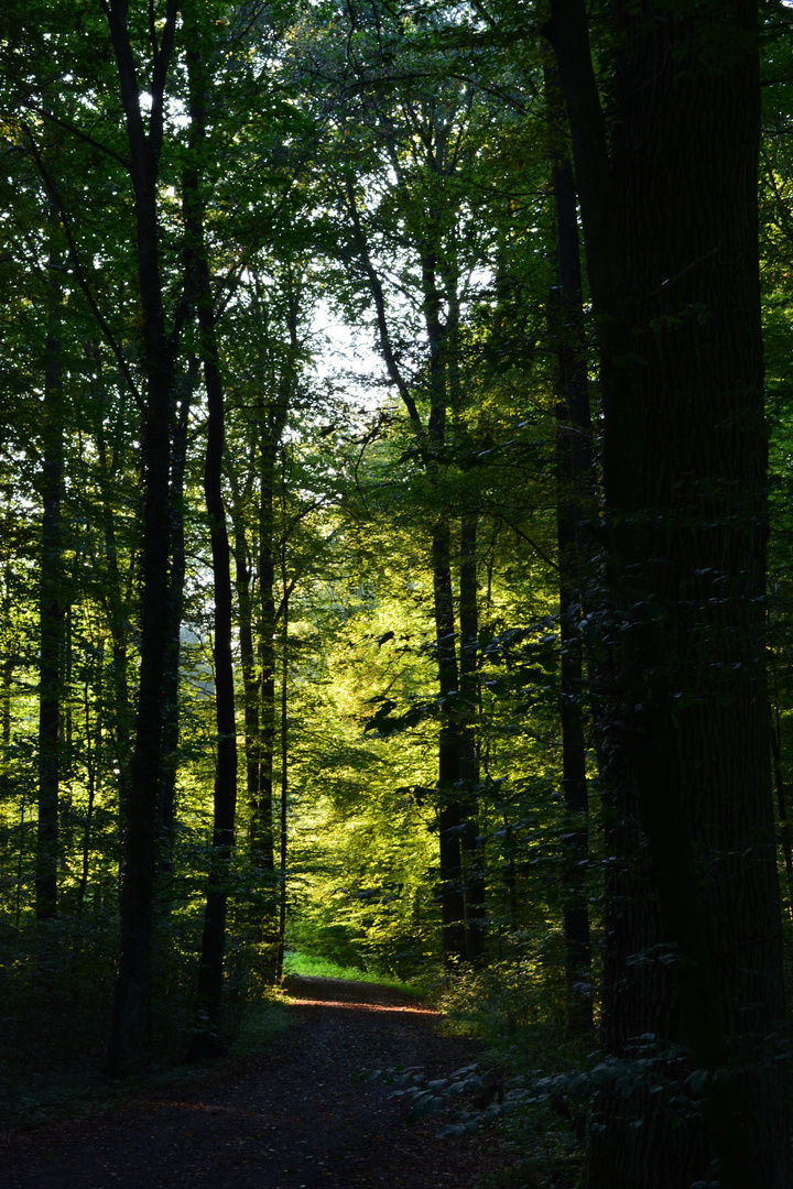 Diesen Weg musst du alleine gehen