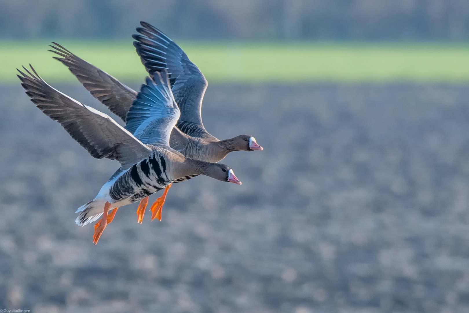 diesen Winter definitif nicht in den Süden