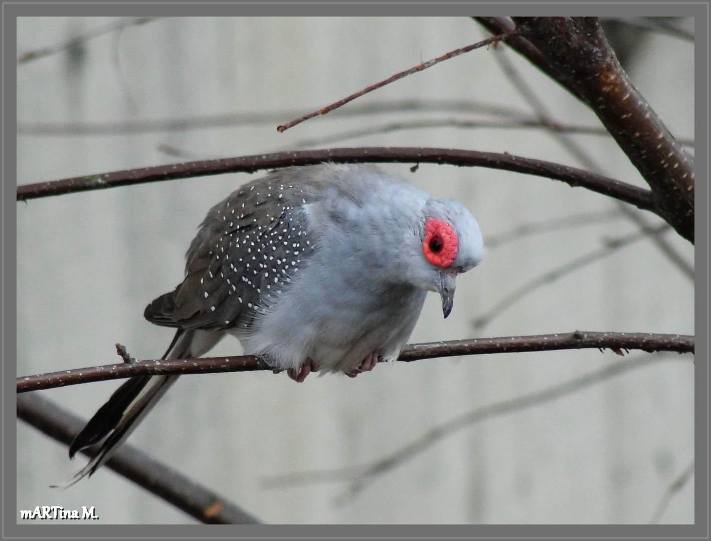 Dieser Augen-Blick