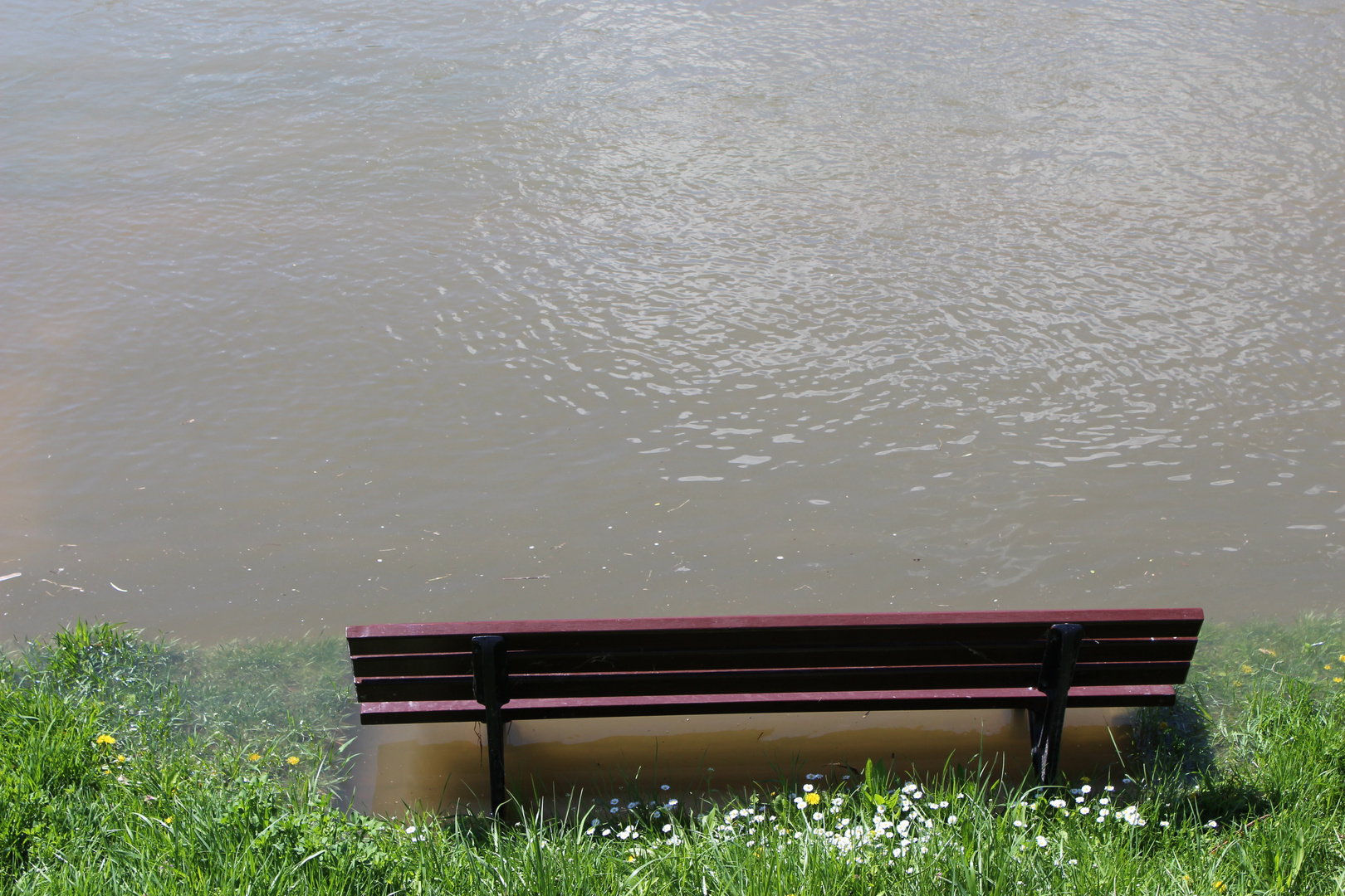 dieser bank steht das wasser bis zum hals....