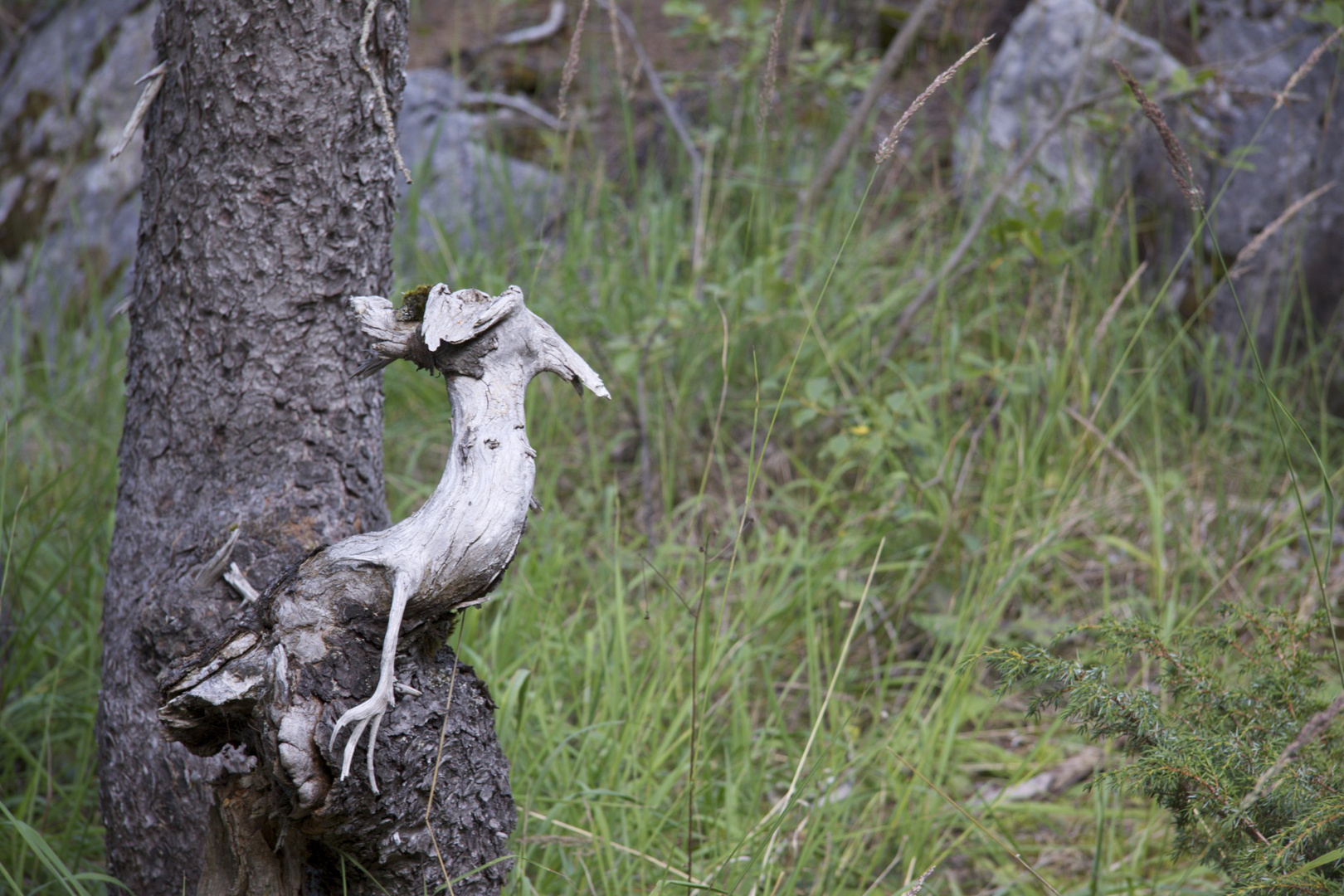 Dieser Baum hat einen Vogel