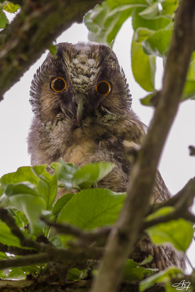 Dieser Blick...