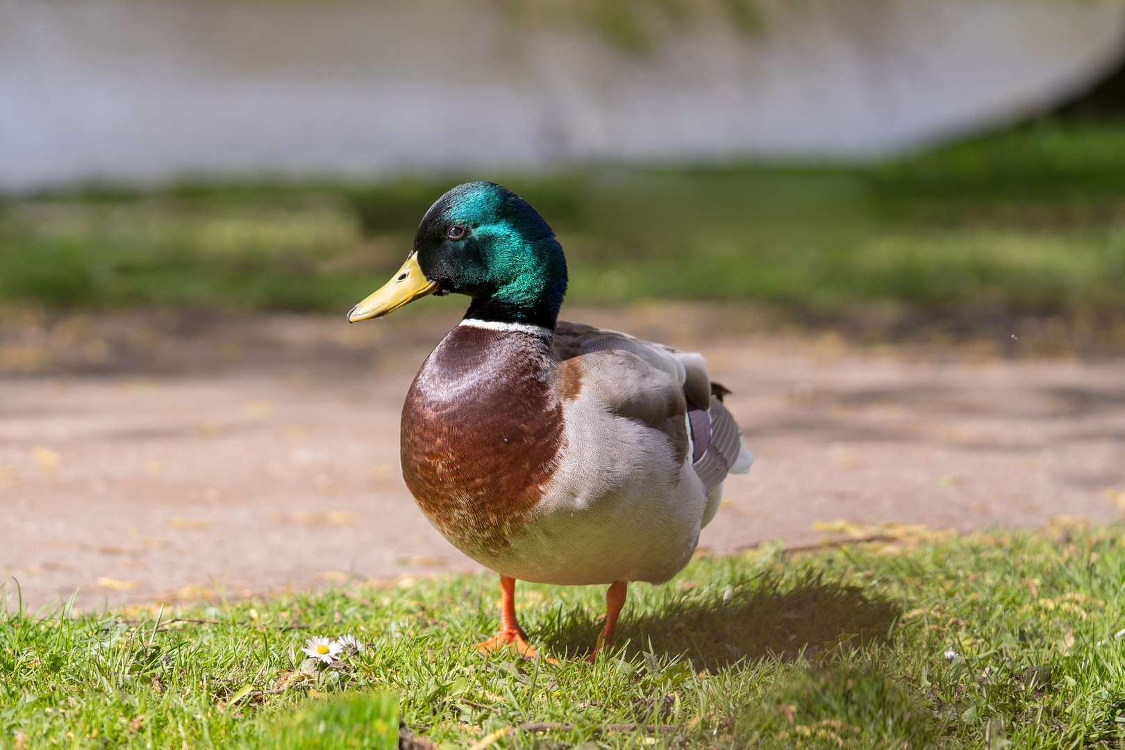 Dieser Blick...