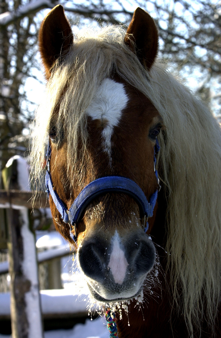 dieser blick