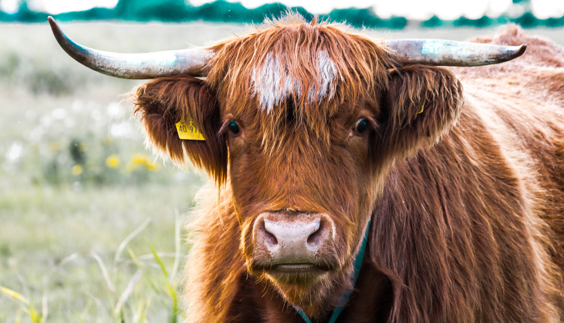 Dieser Blick macht einen verrückt...