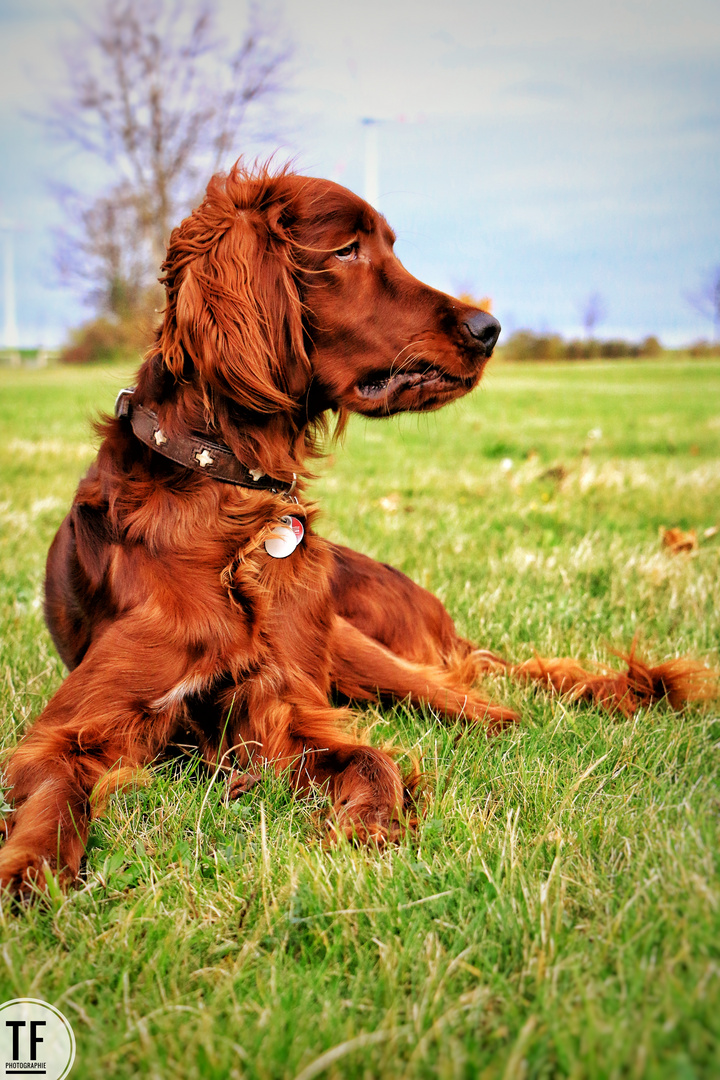 Dieser Blick ... zum dahinschmelzen