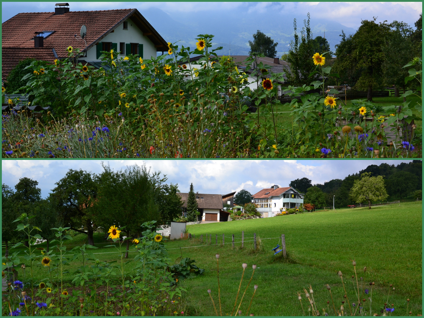 Dieser bunte Garten befand sich direkt neben der Talstation…