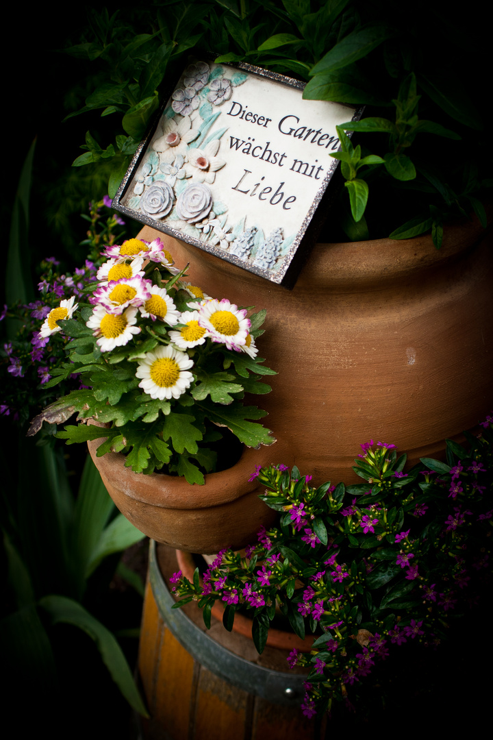 Dieser Garten wächst mit Liebe