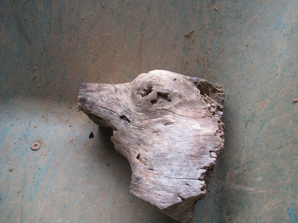 Dieser Kopf lag mitten im Brennholzhaufen. 