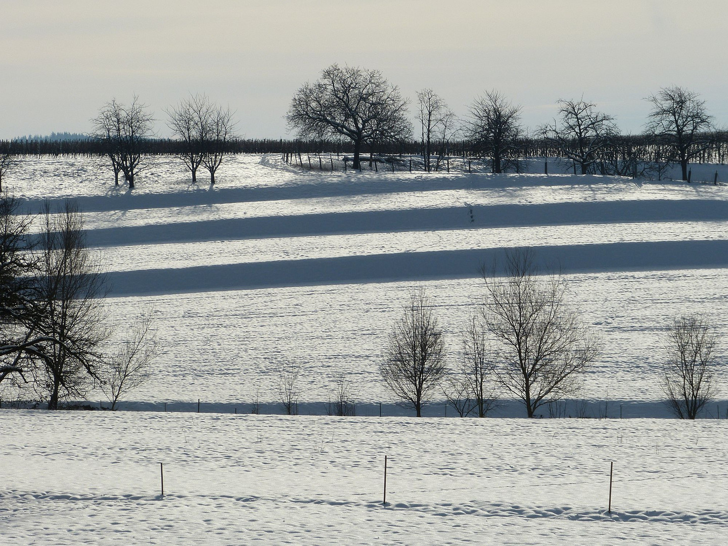 dieser Landstrich...