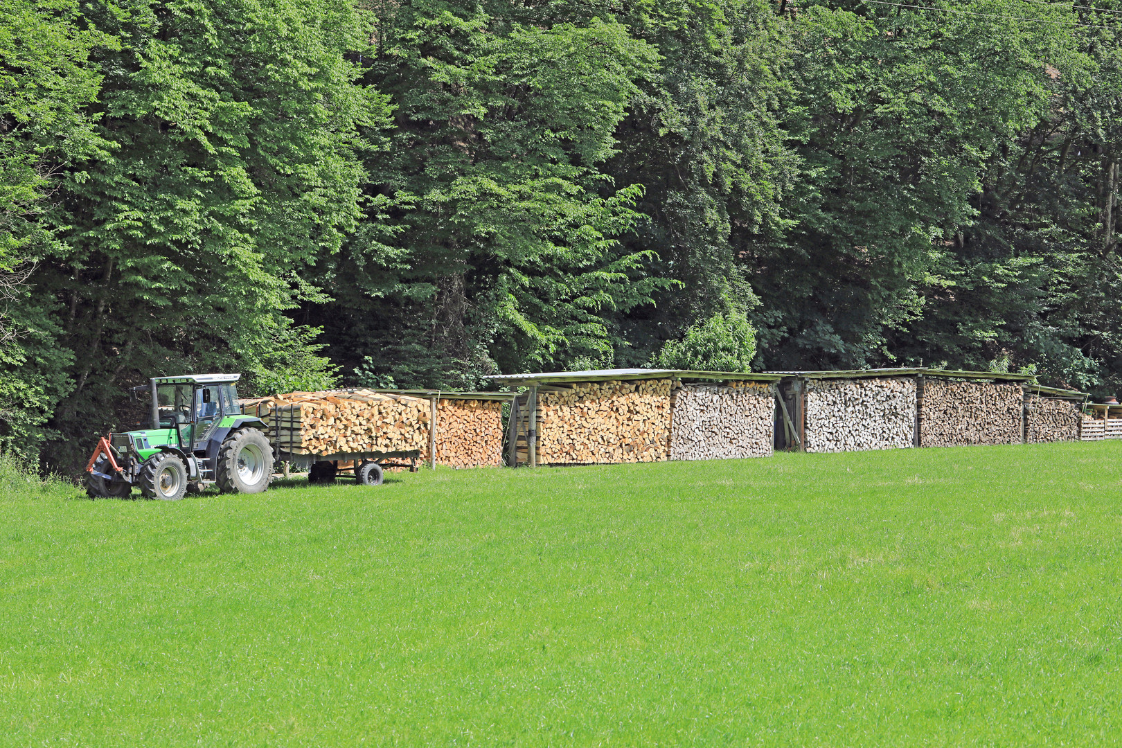 Dieser Landwirt braucht keine Angst vor einem kalten Winter haben. Er braucht Putins Gas nicht.