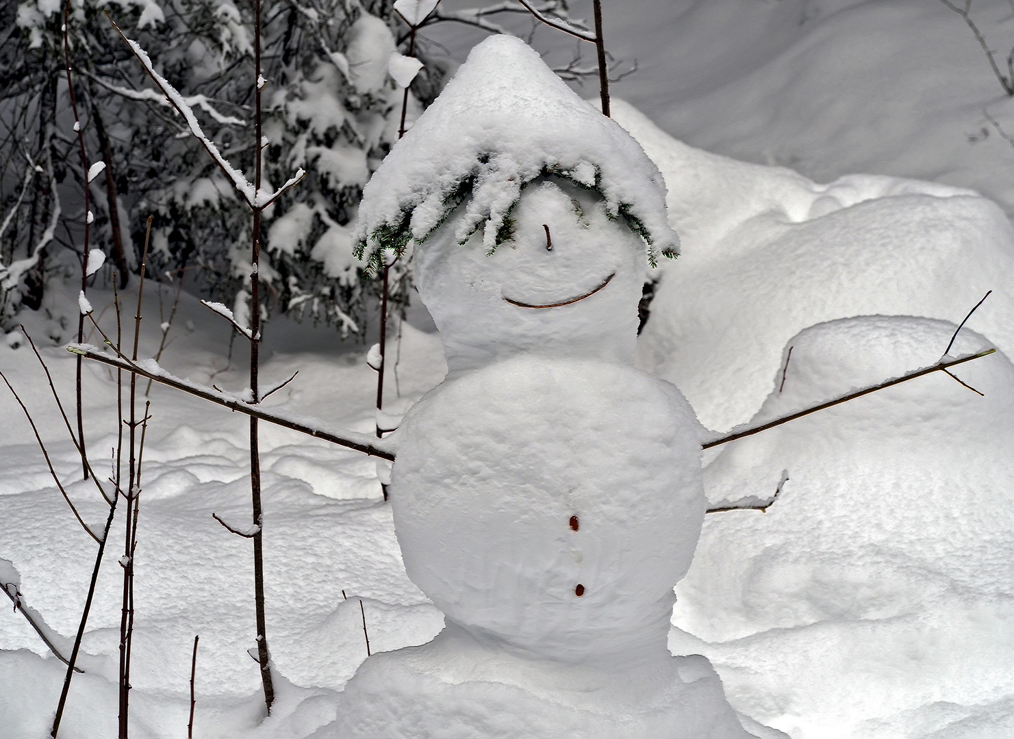 Dieser Mann wohnt im Wald! - Bonhomme de neige dans la forêt!