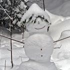 Dieser Mann wohnt im Wald! - Bonhomme de neige dans la forêt!