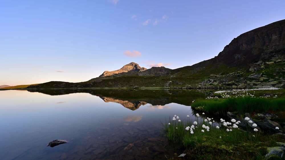 Dieser Moment.......