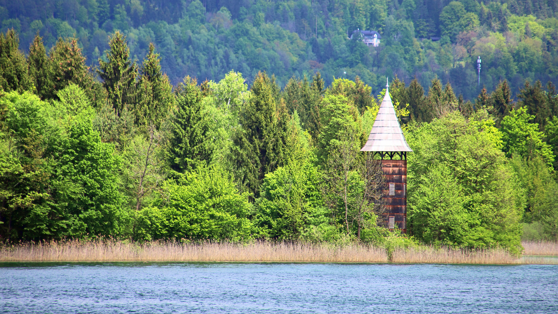 Dieser Natur-Beobachtungsturm befindet sich.....