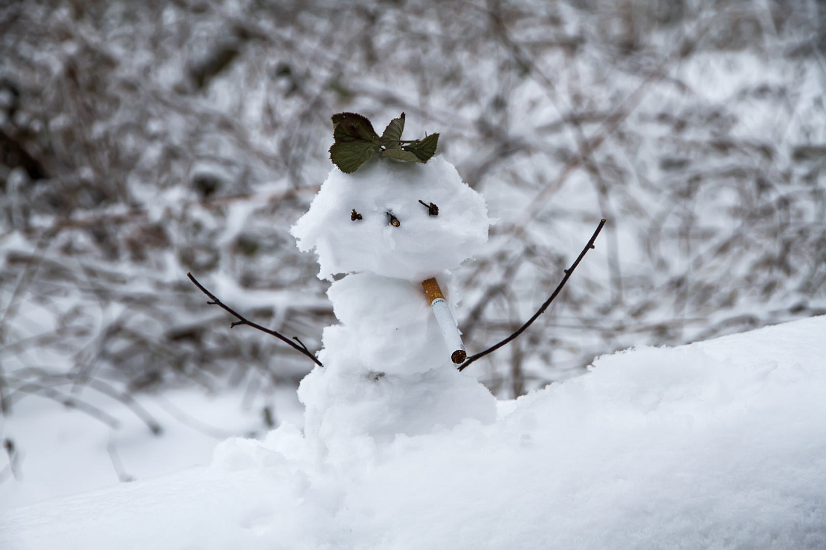 Dieser Schneemann Foto & Bild jahreszeiten, winter, diverses Bilder
