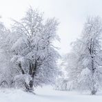 Dieser Schneezauber