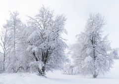 Dieser Schneezauber