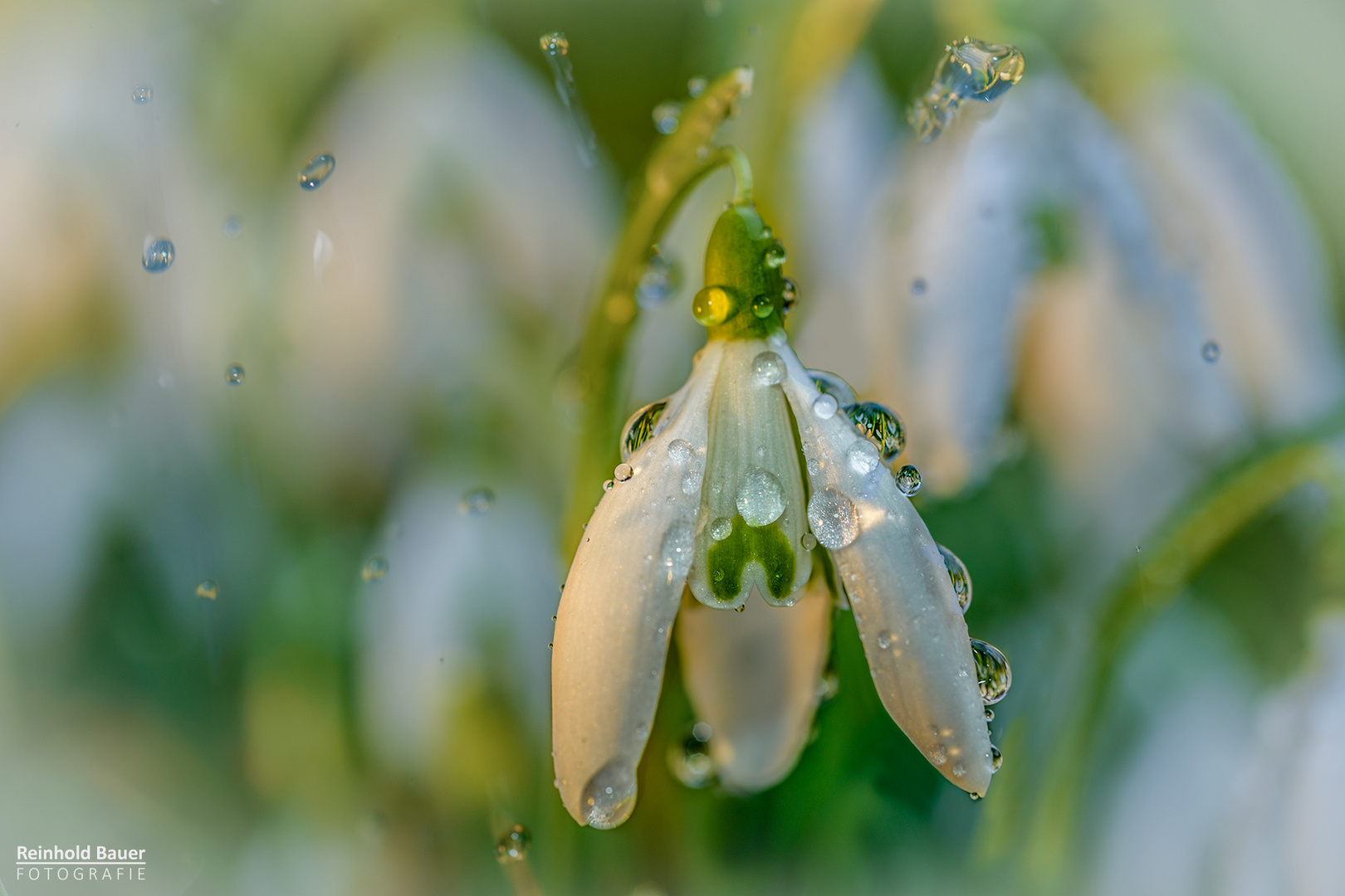 Dieser Tage, als sich das Wetter nicht entscheiden konnte.