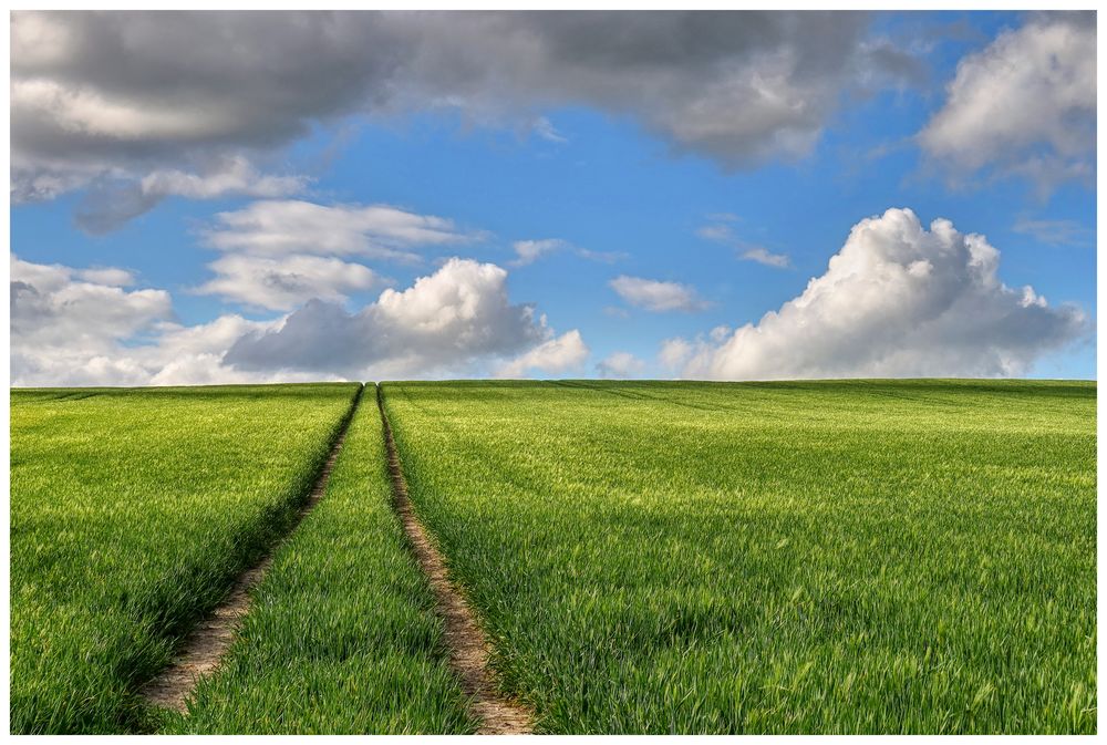 Dieser Weg...