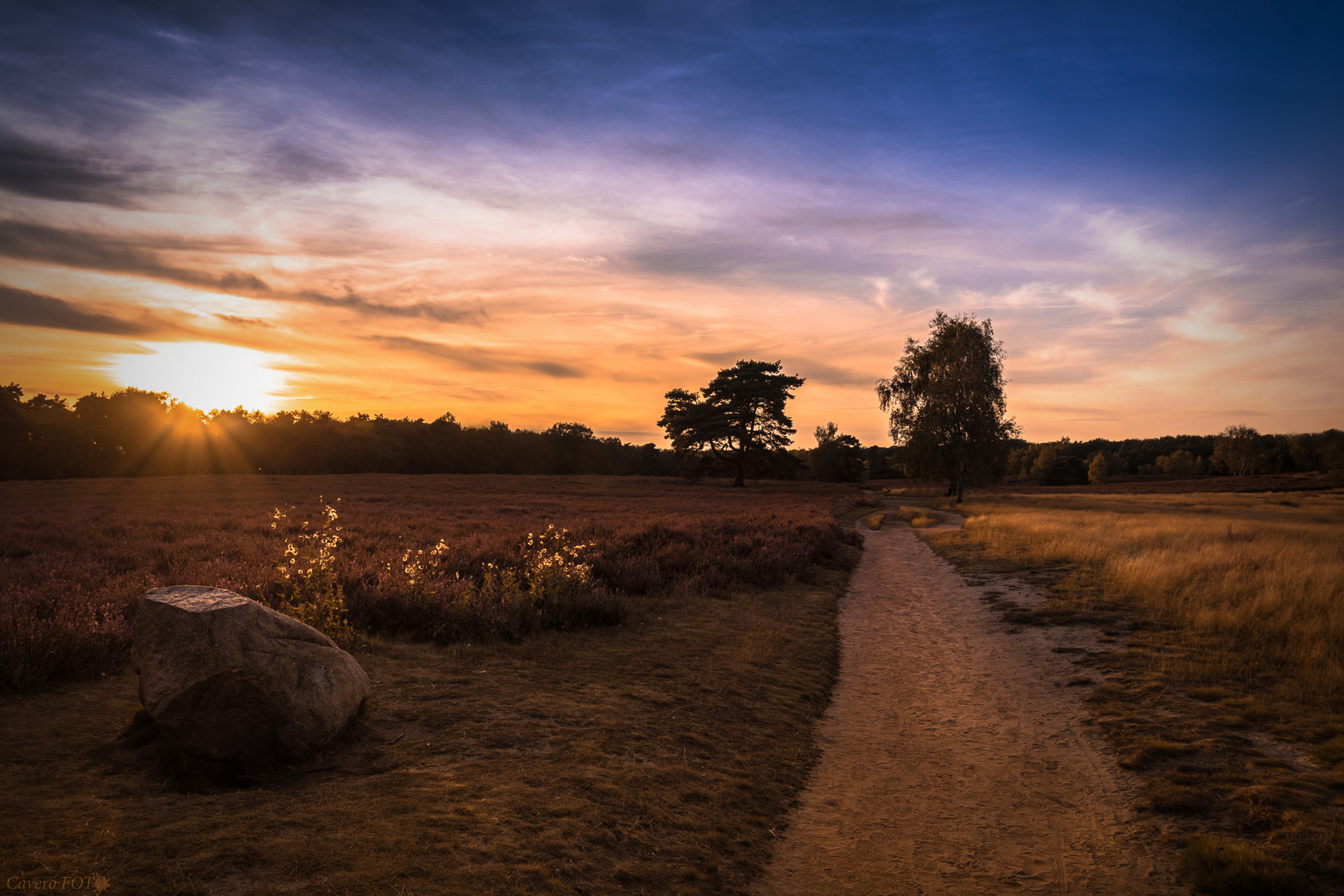 Dieser Weg............. führt durch die Heide :)