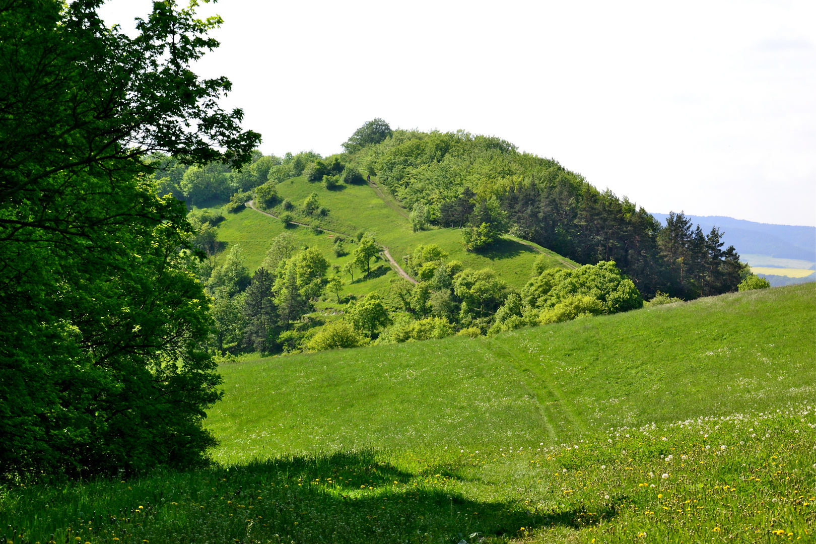 Dieser Weg führt nach Kahla