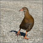 dieser "weka"